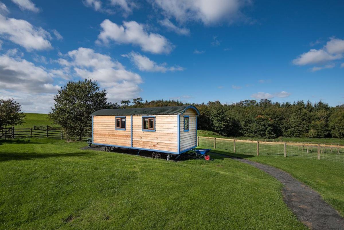 Cow Parsley Shepherd'S Hut Berwick-upon-Tweed Exterior foto